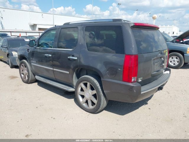 2010 CADILLAC ESCALADE 1GYUKBEF5AR276783 Photo 2