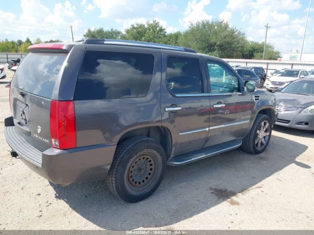 2010 CADILLAC ESCALADE 1GYUKBEF5AR276783 Photo 3