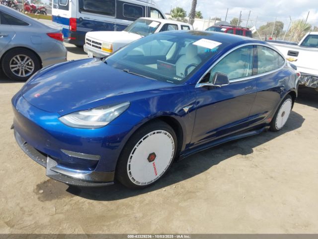2019 TESLA MODEL 3 5YJ3E1EA3KF543093 Photo 1