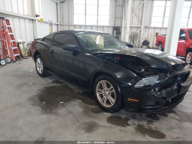 2013 FORD MUSTANG 1ZVBP8AM8D5240360