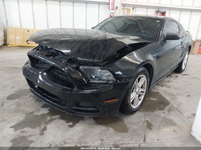 2013 FORD MUSTANG 1ZVBP8AM8D5240360 Photo 1
