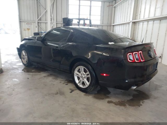 2013 FORD MUSTANG 1ZVBP8AM8D5240360 Photo 2