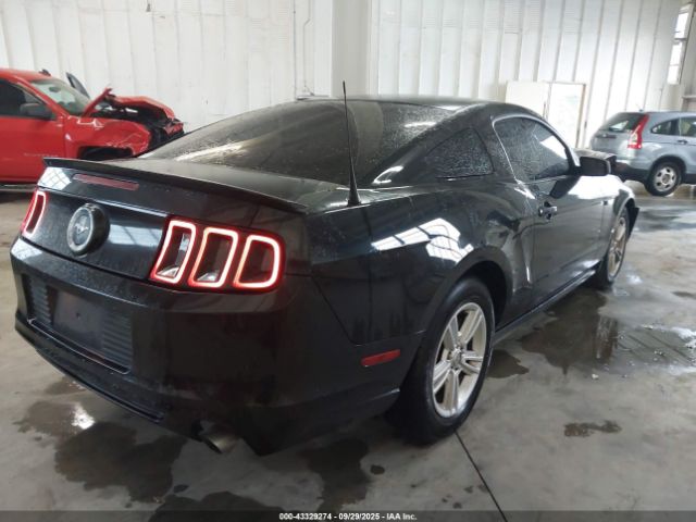2013 FORD MUSTANG 1ZVBP8AM8D5240360 Photo 3