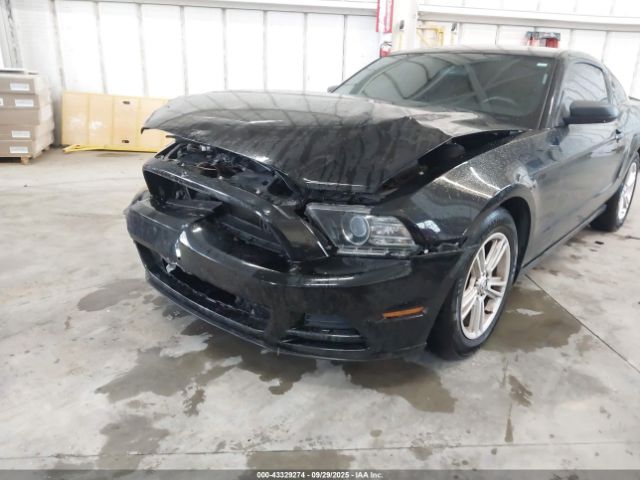 2013 FORD MUSTANG 1ZVBP8AM8D5240360 Photo 5