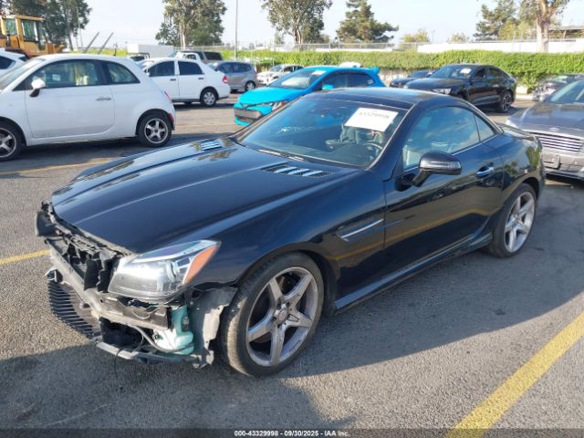 2013 MERCEDES-BENZ SLK 250 WDDPK4HAXDF054119 Photo 1