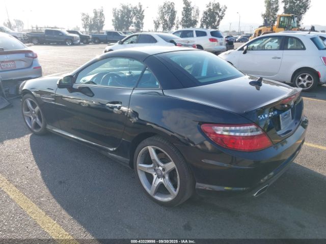 2013 MERCEDES-BENZ SLK 250 WDDPK4HAXDF054119 Photo 2