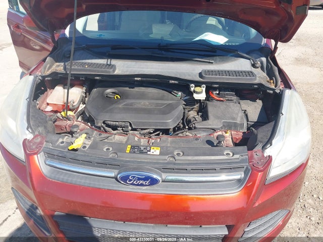 1FMCU0GX6EUA51972 Ford Escape