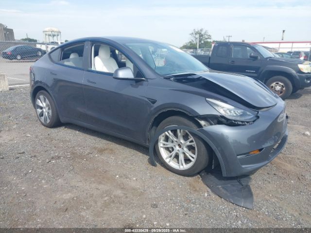 2021 TESLA MODEL Y 5YJYGDEE1MF070303 Photo 0