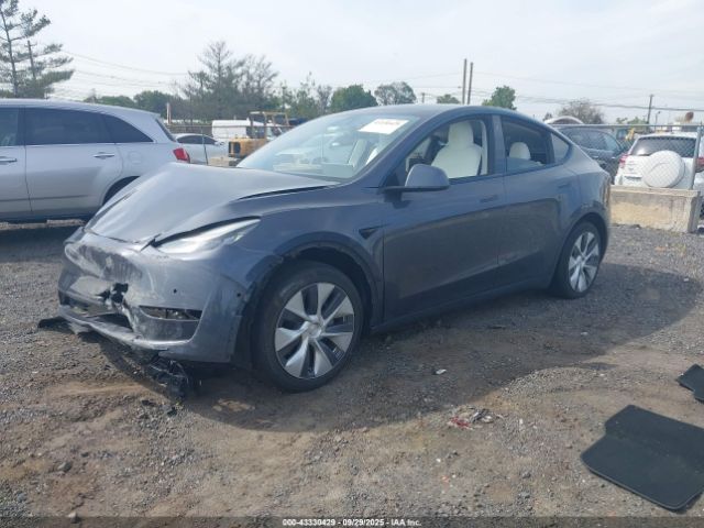2021 TESLA MODEL Y 5YJYGDEE1MF070303 Photo 1