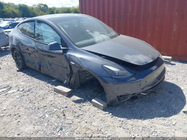 2023 TESLA MODEL Y 7SAYGDEE2PA197663 Photo 0