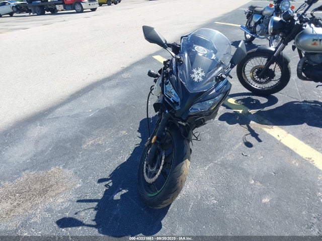 JKAEX8B19HDA40195 Kawasaki Ninja 300