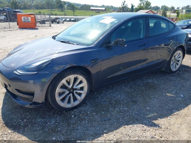 2023 TESLA MODEL 3 5YJ3E1EAXPF437313 Photo 5