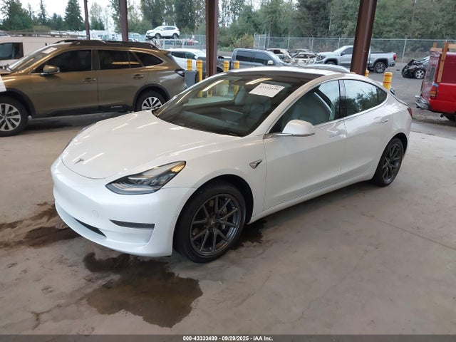 2019 TESLA MODEL 3 5YJ3E1EA3KF484191 Photo 1