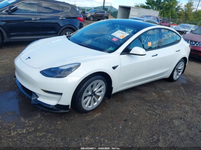 2023 TESLA MODEL 3 5YJ3E1EA1PF492555 Photo 1