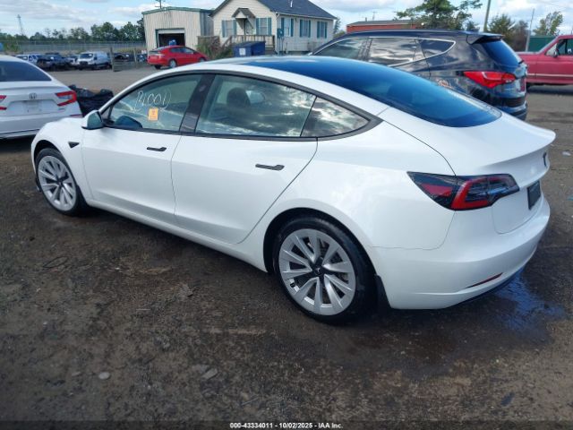 2023 TESLA MODEL 3 5YJ3E1EA1PF492555 Photo 2