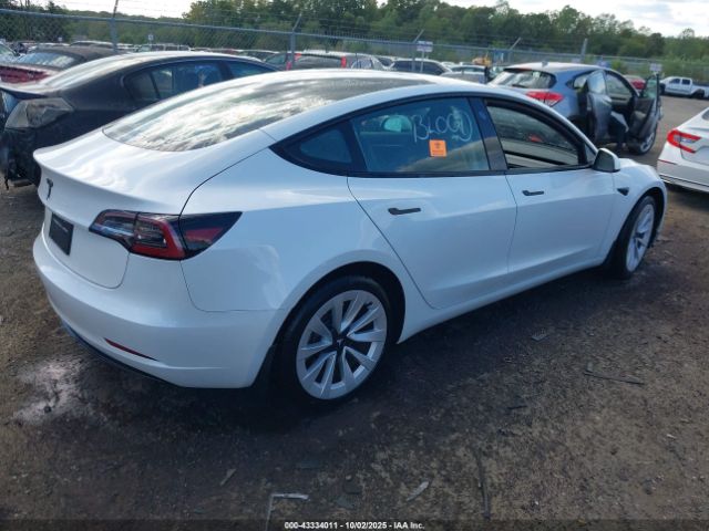 2023 TESLA MODEL 3 5YJ3E1EA1PF492555 Photo 3