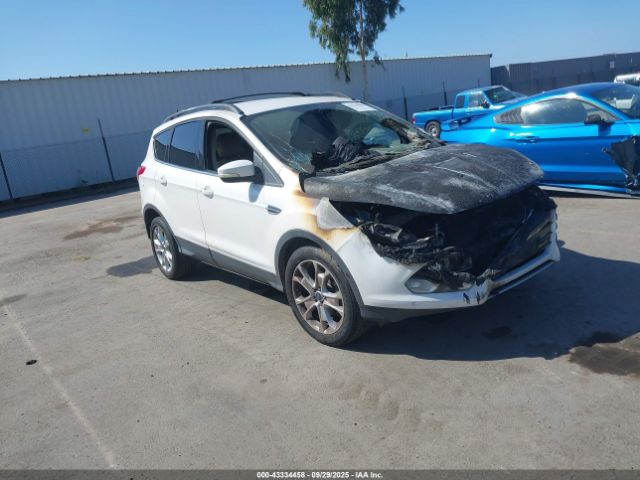 2013 FORD ESCAPE 1FMCU0HX4DUC71169