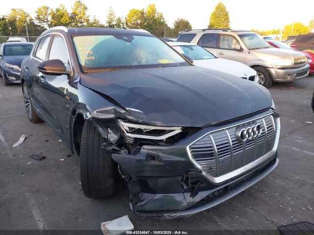 2019 AUDI E-TRON WA1VAAGE7KB024131 Photo 0