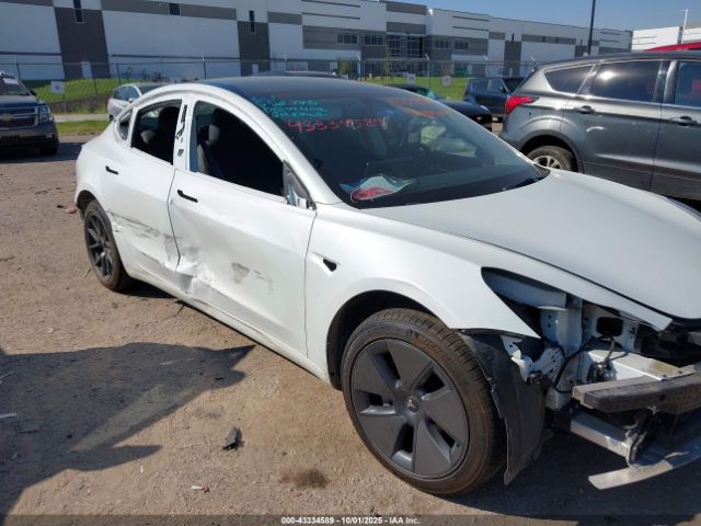 2023 TESLA MODEL 3 5YJ3E1EA2PF552746 Photo 5
