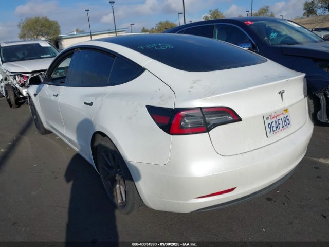 2023 TESLA MODEL 3 5YJ3E1EA3PF407778 Photo 2