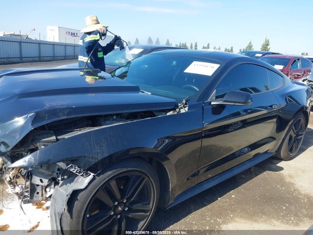 Ford 2016 2016 1FA6P8AM6G5252134 Image 15