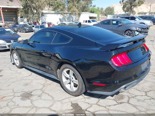 Ford Mustang 2021 1FA6P8TH6M5134497 Image 3