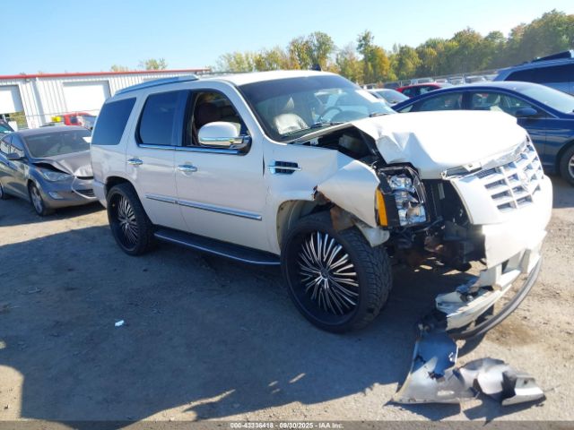 2010 CADILLAC ESCALADE 1GYUKBEF2AR291242