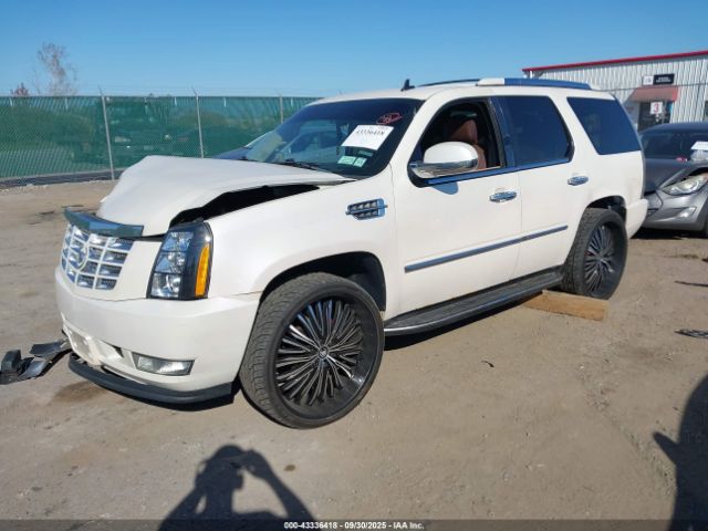 2010 CADILLAC ESCALADE 1GYUKBEF2AR291242 Photo 1