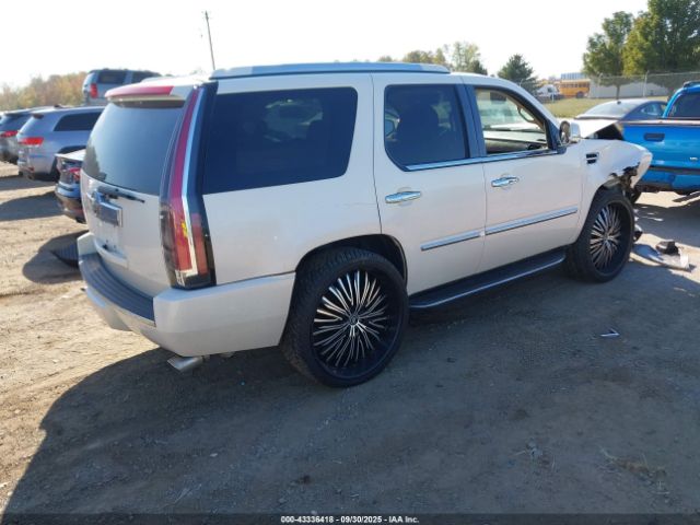 2010 CADILLAC ESCALADE 1GYUKBEF2AR291242 Photo 3