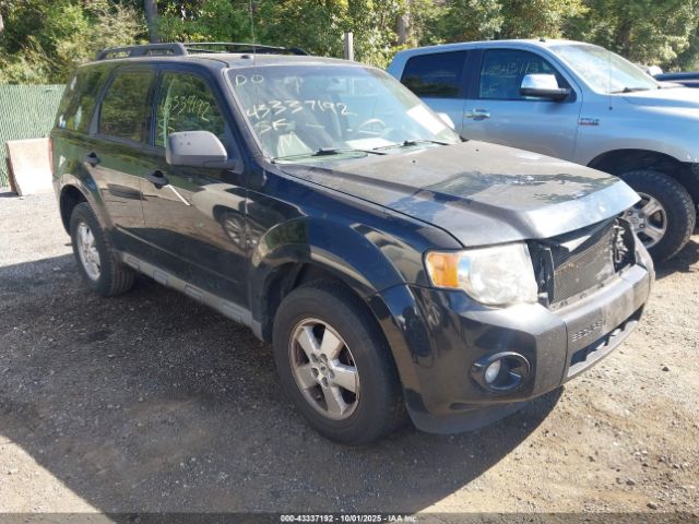 2009 FORD ESCAPE 1FMCU03G39KD06746