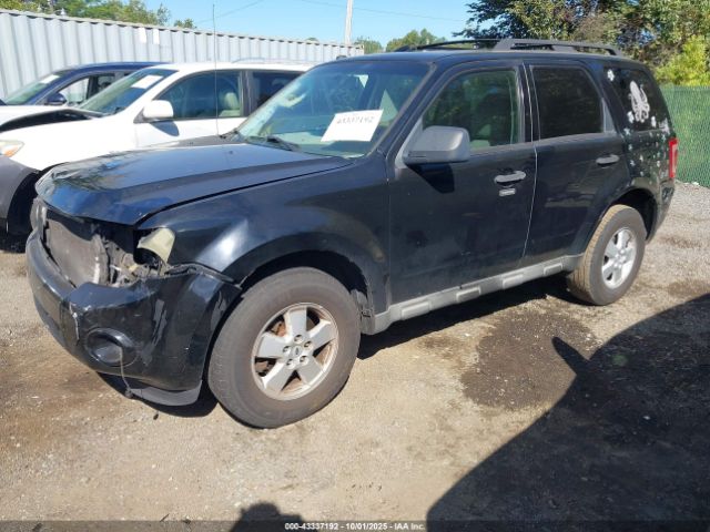 2009 FORD ESCAPE 1FMCU03G39KD06746 Photo 1
