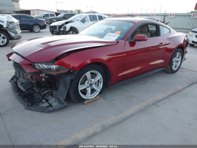 2021 FORD MUSTANG 1FA6P8TH6M5140588 Photo 1