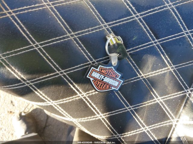 2013 HARLEY-DAVIDSON FXDF 1HD1GYM13DC329697 Photo 10