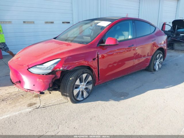 2021 TESLA MODEL Y 5YJYGDEE2MF251572 Photo 1