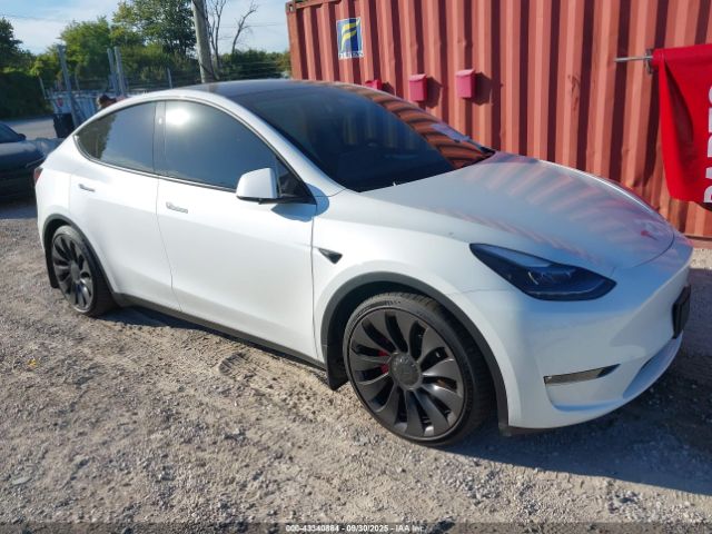 2023 TESLA MODEL Y 7SAYGDEF0PF811542