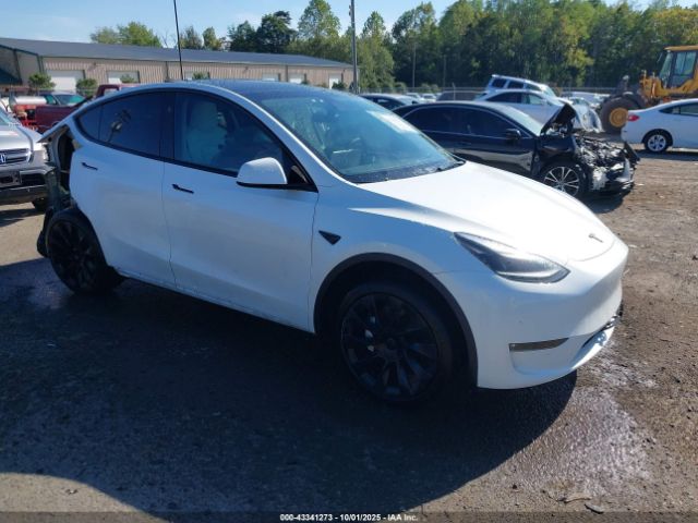 2023 TESLA MODEL Y 7SAYGDEE6PF830331 Photo 0