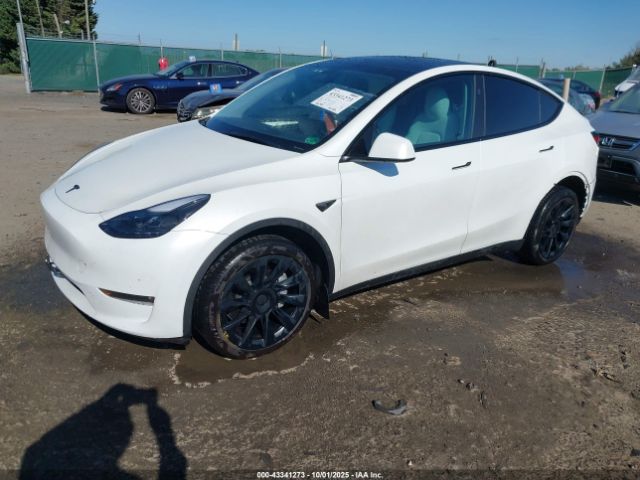 2023 TESLA MODEL Y 7SAYGDEE6PF830331 Photo 1