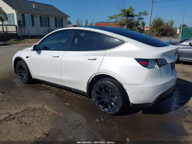 2023 TESLA MODEL Y 7SAYGDEE6PF830331 Photo 2