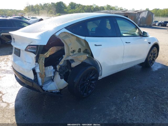 2023 TESLA MODEL Y 7SAYGDEE6PF830331 Photo 3