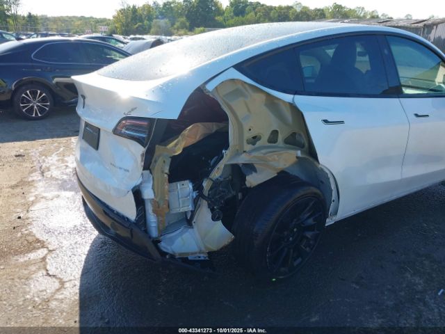 2023 TESLA MODEL Y 7SAYGDEE6PF830331 Photo 5
