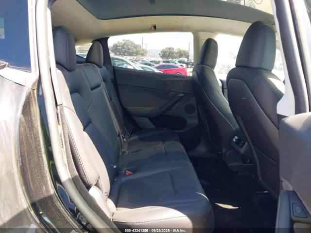 2025 TESLA MODEL Y 7SAYGDED7SF226254 Photo 7