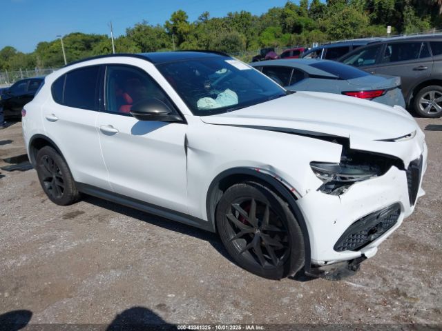 2019 ALFA ROMEO STELVIO ZASPAKBN6K7C49114