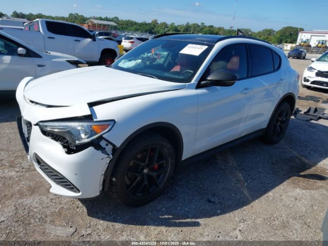 2019 ALFA ROMEO STELVIO ZASPAKBN6K7C49114 Photo 1