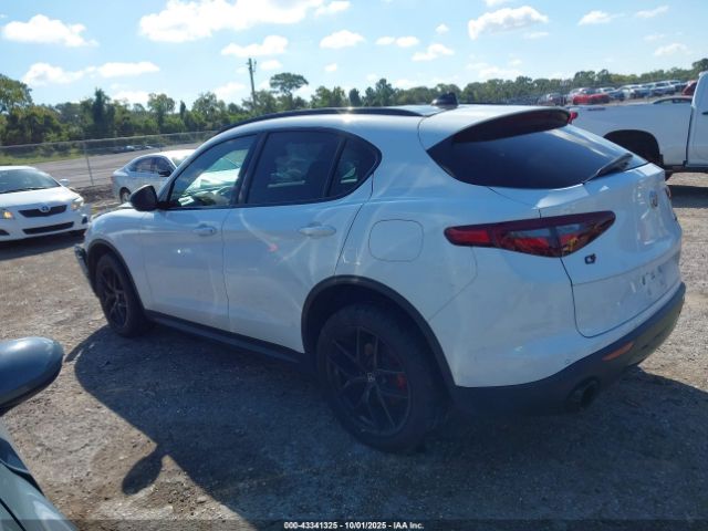 2019 ALFA ROMEO STELVIO ZASPAKBN6K7C49114 Photo 2