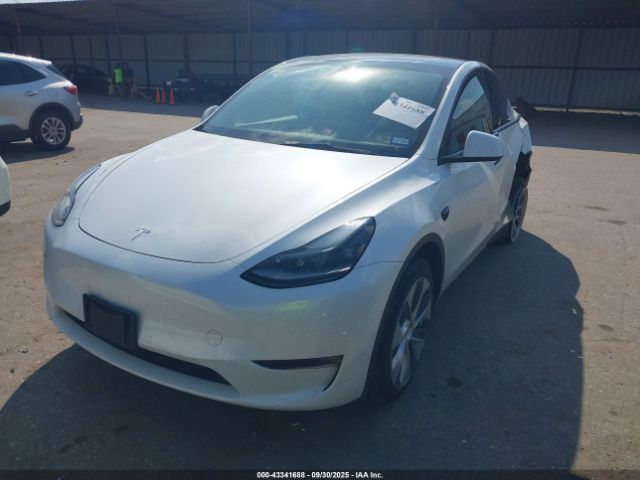 2023 TESLA MODEL Y 7SAYGDEE5PA168223 Photo 1