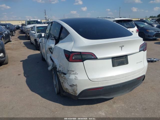 2023 TESLA MODEL Y 7SAYGDEE5PA168223 Photo 2
