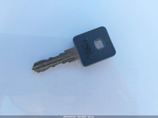 2020 HARLEY-DAVIDSON XL883 1HD4LE217LB422365 Photo 10