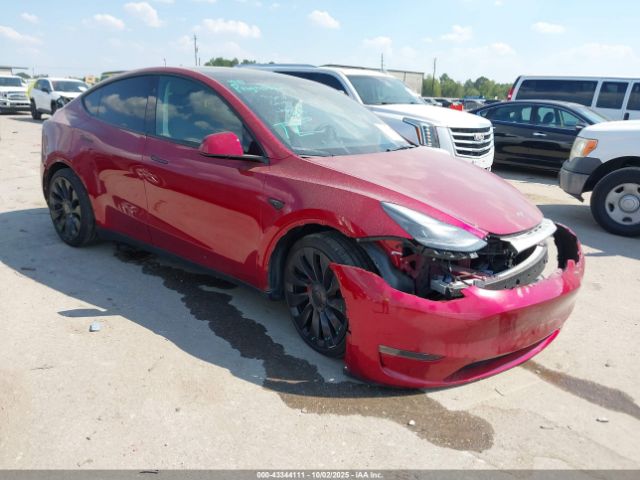 2025 TESLA MODEL Y 7SAYGDEF1SA351359 Photo 0