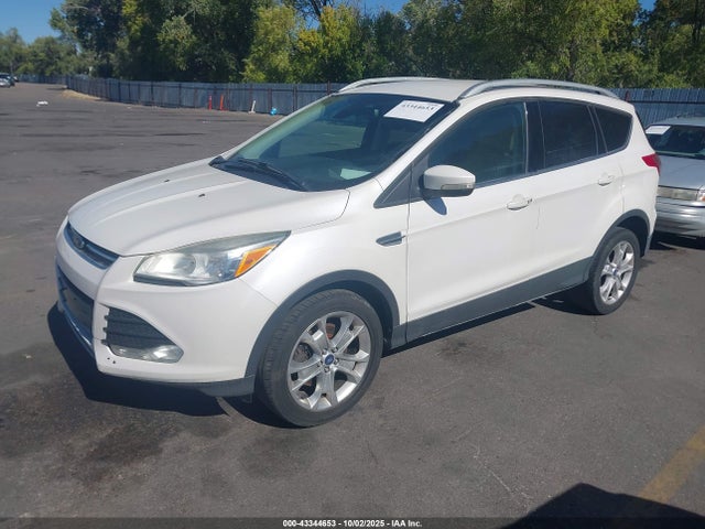 Ford Escape 2014 1FMCU9J93EUC24362 Image 2
