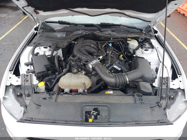 Ford Mustang V6 2017 1FA6P8AM3H5229217 Image 10